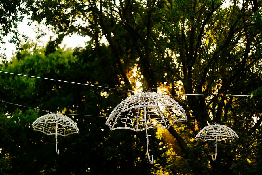 three white umbrella frame hanging decors hangs on string near tree, three white umbrellas hanging on white line HD wallpaper