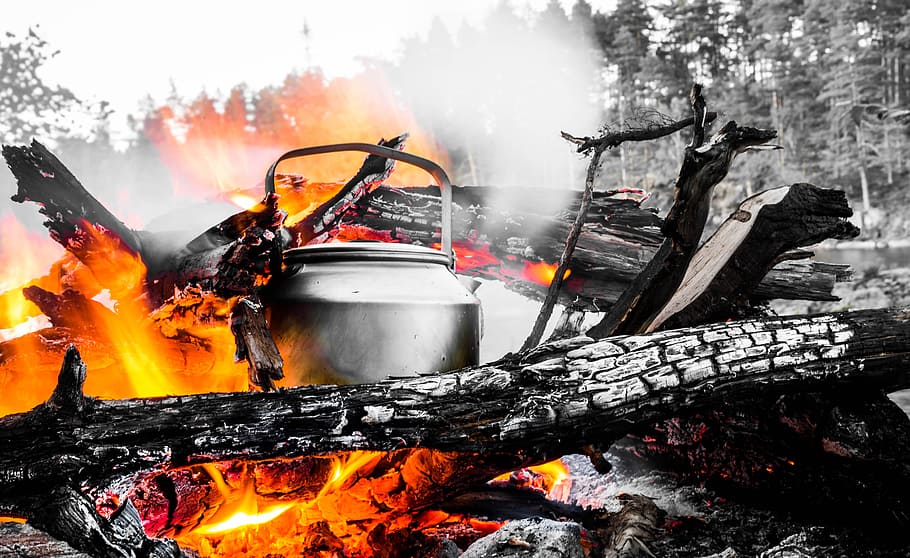 stainless steel pot on bonfire, camp, nature, campfire, light, HD wallpaper