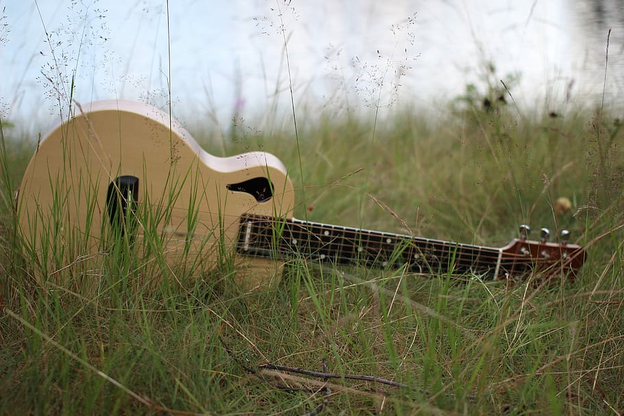 Guitar, Grass, Wp, Strings, wp strings, no people, day, nature HD wallpaper