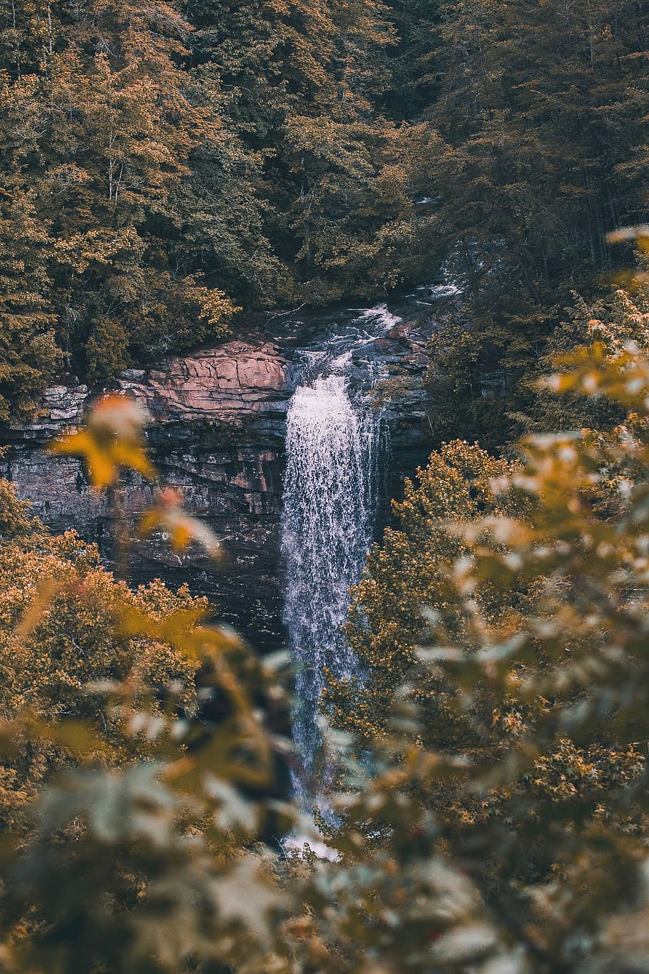 falls surrounded by green leaf trees at daytime, time lapse photo of waterfalls HD wallpaper