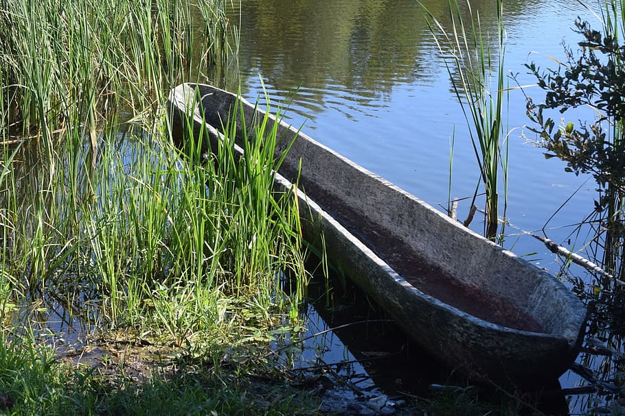 boat, lake, viking museum, vikings, denmark, water, plant, grass