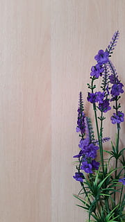 purple flowers, note, pad, paper, office, business, blank, message HD wallpaper