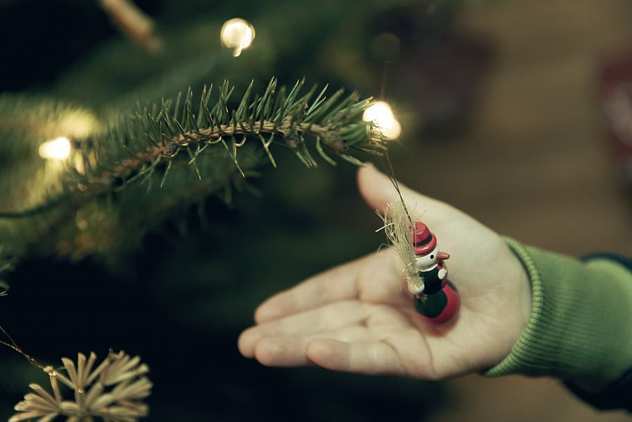 blur, bokeh, branch, celebration, christmas, christmas decoration HD wallpaper