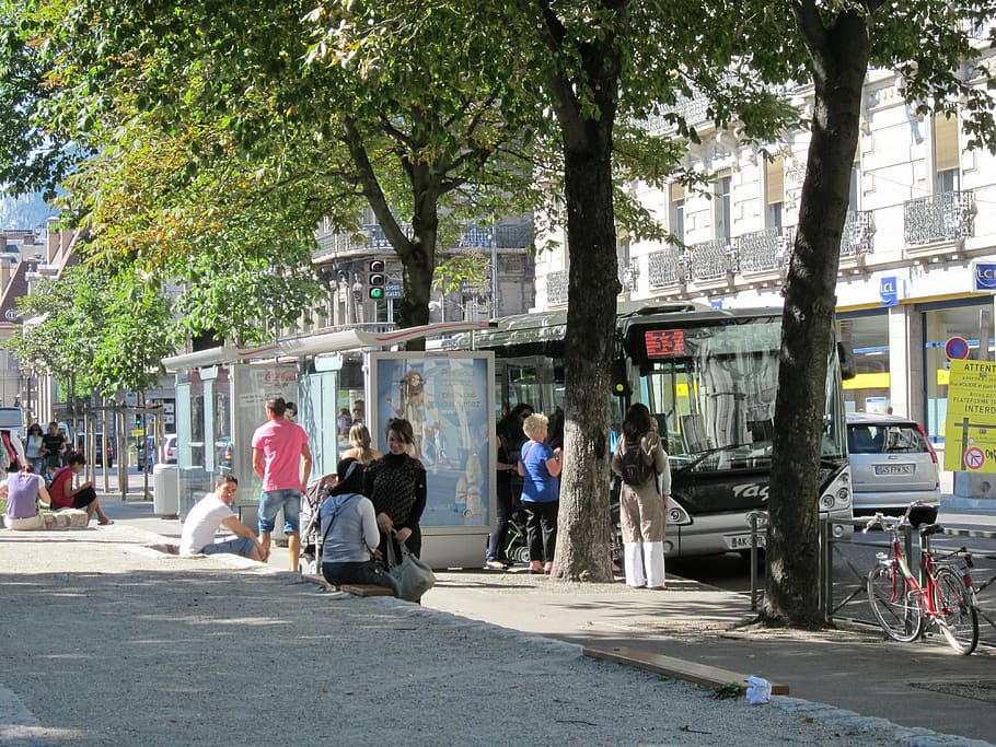 trolley, station, grenoble, tree, city, real people, plant HD wallpaper