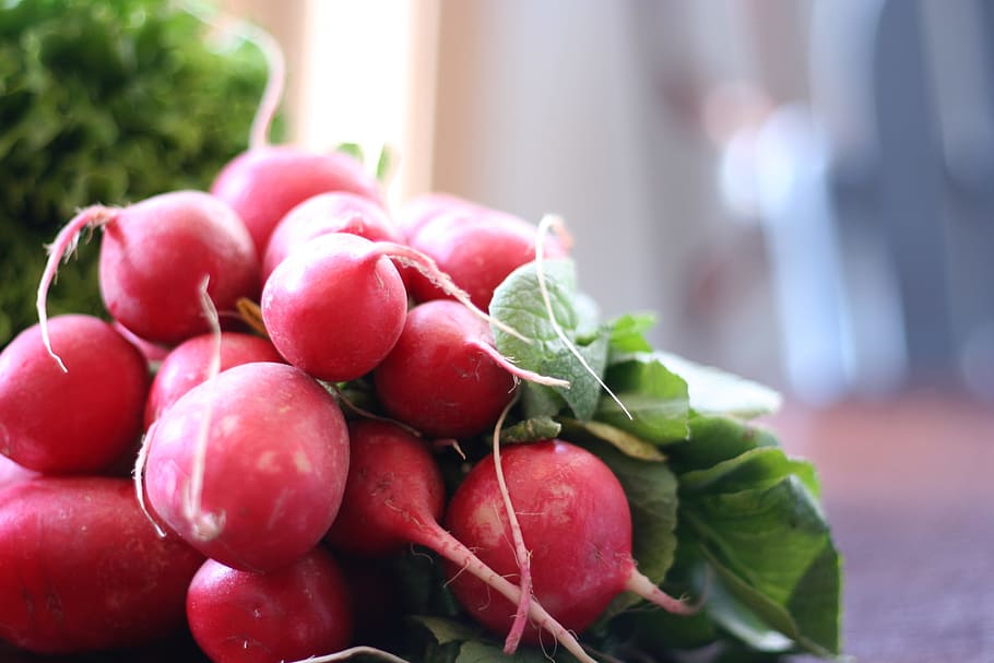 radish, vegetable, fresh, organic, red, natural, plant, farming HD wallpaper