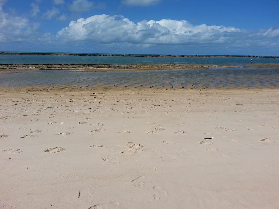 beach, sol, mar, summer, sky, ocean, beira mar, sand, heat HD wallpaper