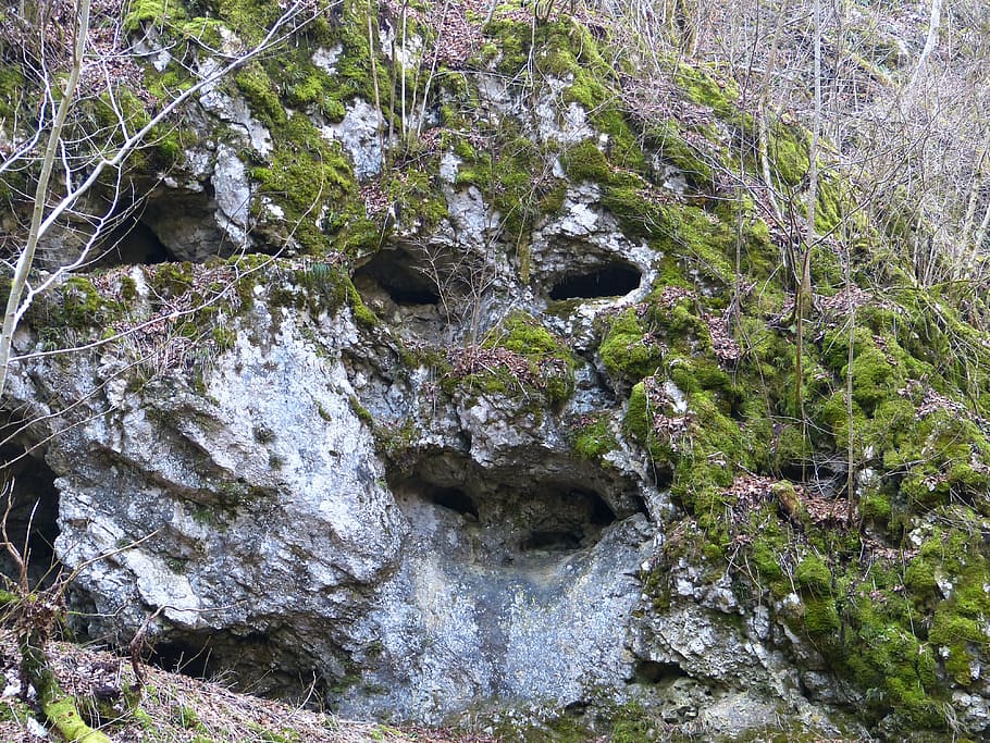 rock, cave, face, limestone, stone face, rock face, cliff, plant HD wallpaper