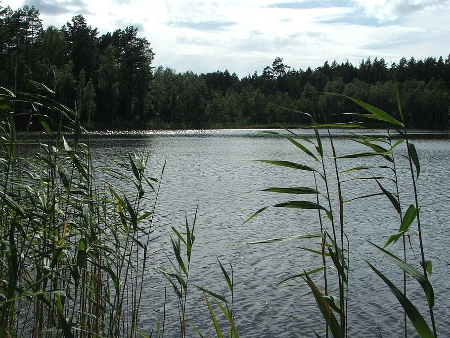 masuria, nature, lake, water, landscape, summer, holiday, the silence HD wallpaper