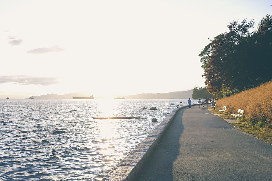 people near in the sea during sunset, people walking on pathway beside sea at daytime HD wallpaper