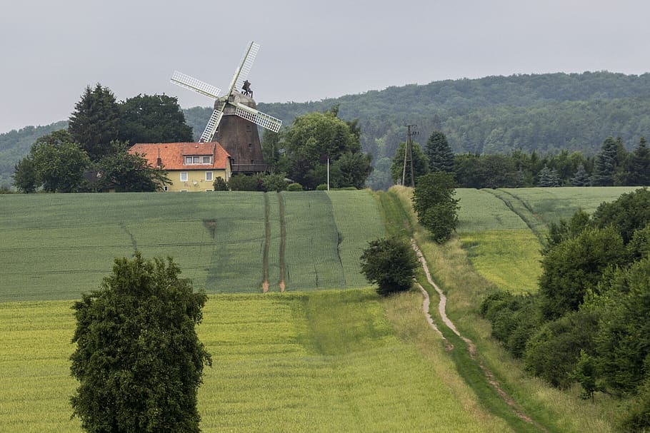landscape, forest, nature, windmill, historically, tree, plant HD wallpaper