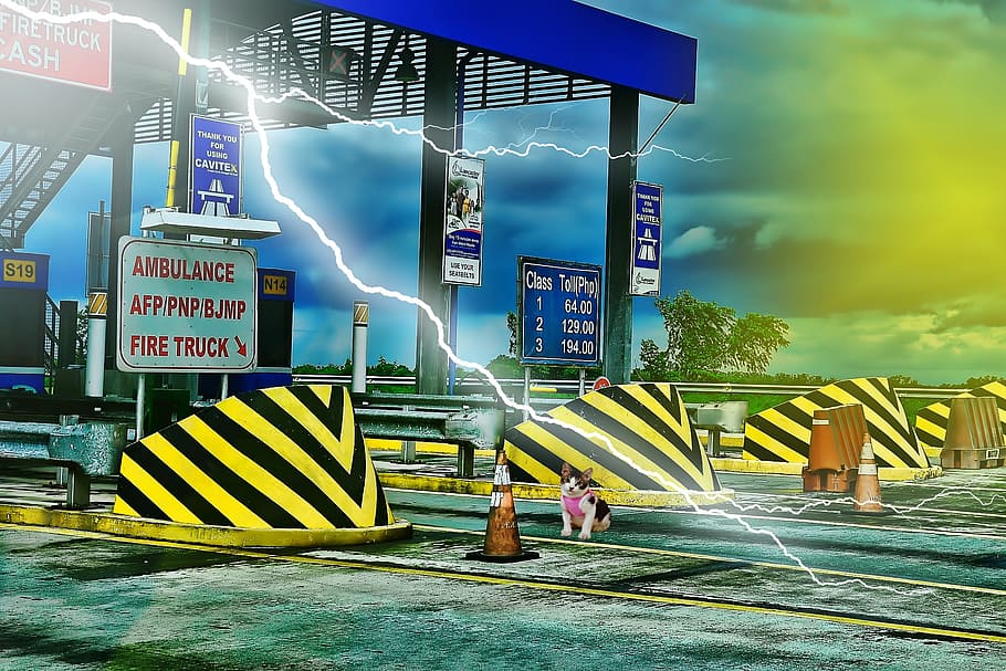 kitten, highway, expressway, lightning, road, architecture HD wallpaper