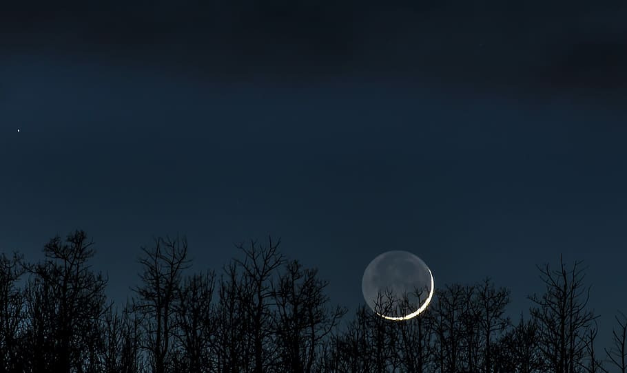 photo of crescent moon over trees at night, landscape photography of silhouette trees under the crescent moon during nighttime HD wallpaper