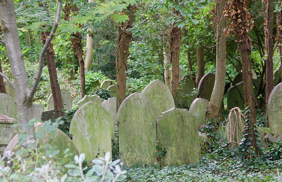 forgotten, cemetery, graveyard, headstone, tombstone, old, gravestone