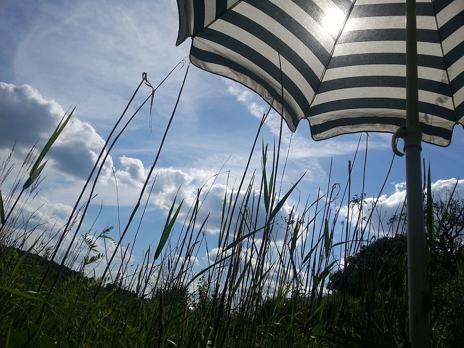 screen, stripes, sky, blue, summer, clouds, grass, cloud - sky HD wallpaper