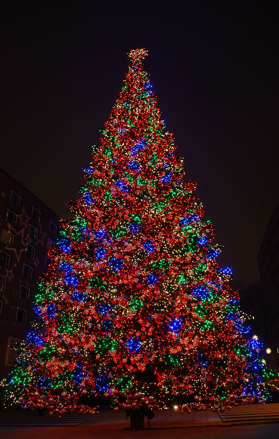 Berlin, Christmas, Tree, christmas tree, celebration, christmas decoration HD wallpaper