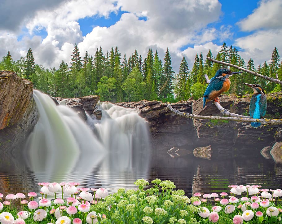 waterfall, nature, landscape, waters, mood, plant, cloud - sky HD wallpaper