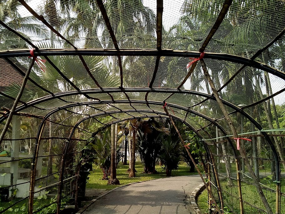 bower, passage, pass through, garden, cropping, greenhouse HD wallpaper