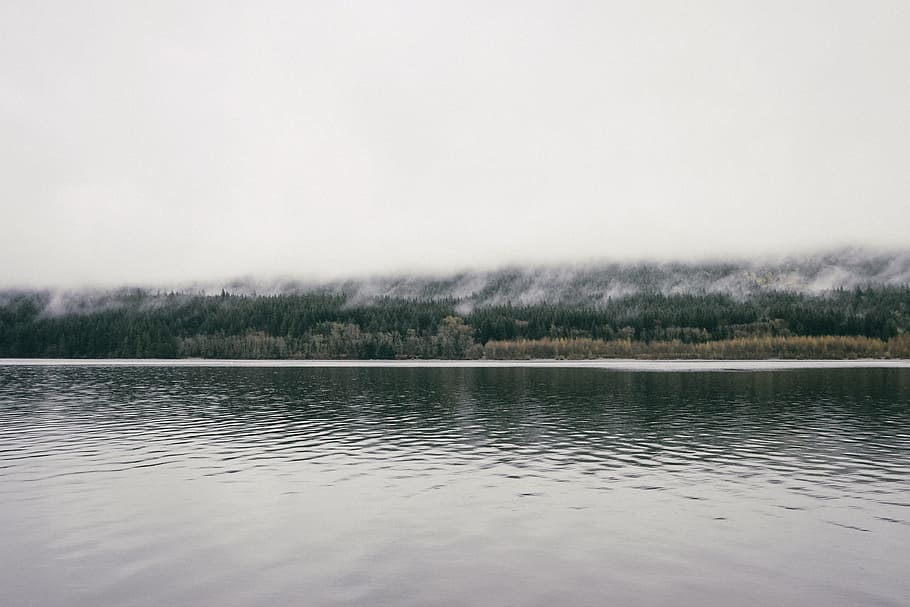 body of water near green trees under cloudy sky, body of water near island with trees HD wallpaper