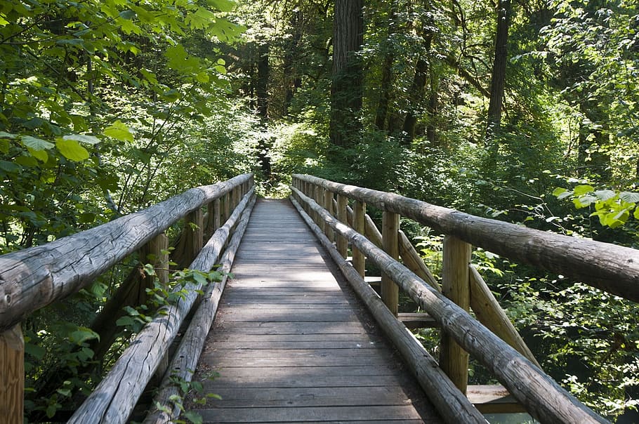 brown wooden foot bridge near forest, pathway, planked, logs HD wallpaper