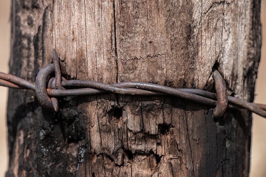 wood, rusty, old, lock, security, barbed wire, fence, post HD wallpaper
