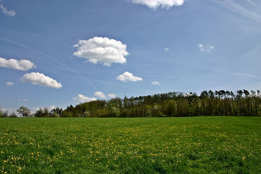 landscape, spring, hill, forest, edge of the woods, nature HD wallpaper