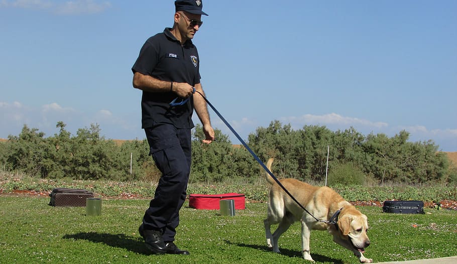 man holding dog leash beside near short-coated dog, police dog