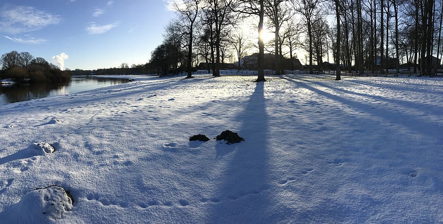 snow, winter, panorama, trees, cold temperature, nature, plant HD wallpaper
