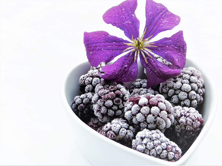 purple berries in white ceramic heart bowl, blackberries, frozen