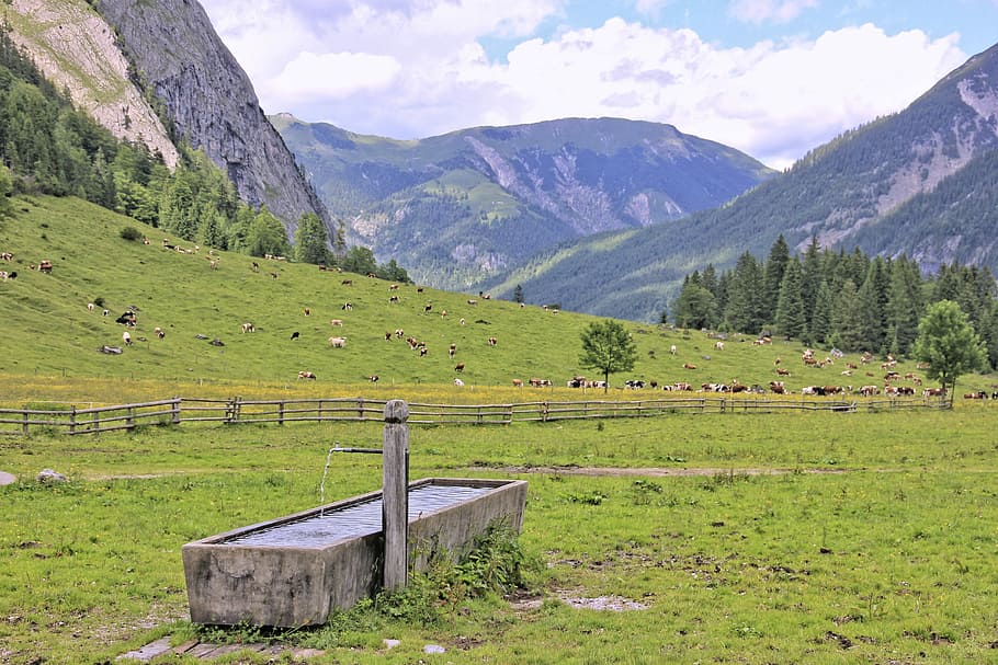 nature, mountain, landscape, grass, travel, wood, sky, valley HD wallpaper