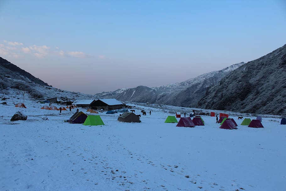 goechala, sikkim, kanchenjunga, himalayas, mountain, snow, sky, HD wallpaper