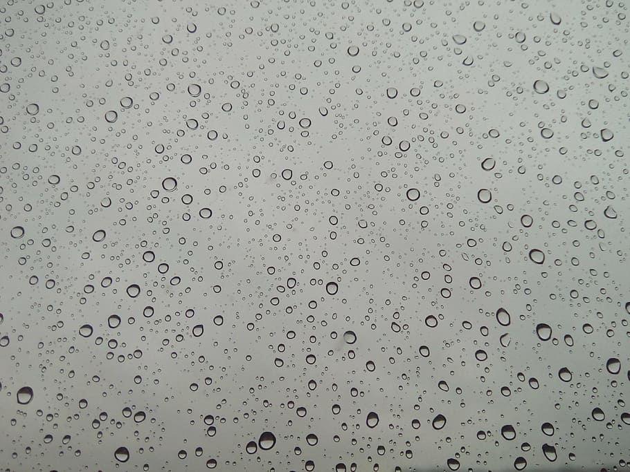 rain, window, drops, water, glass, wet, gary, rainy weather HD wallpaper