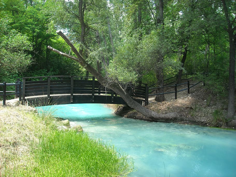 River, Water, Torrent, Stream, Landscape, tree, nature, outdoors HD wallpaper