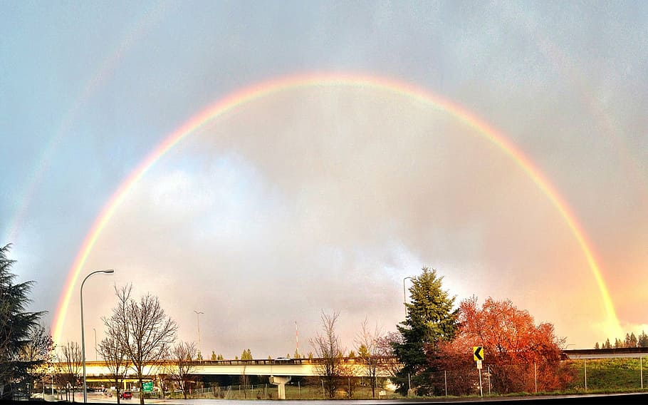 rainbow, sunset, bellevue, washington, tree, beauty in nature HD wallpaper