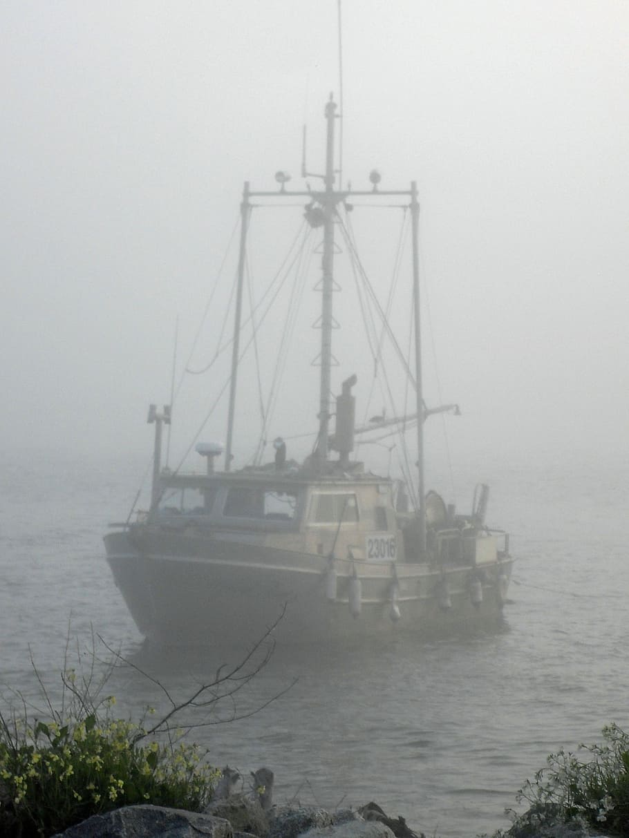 fog, river, misty, boat, ship, tradition, sea, sailing, yacht HD wallpaper