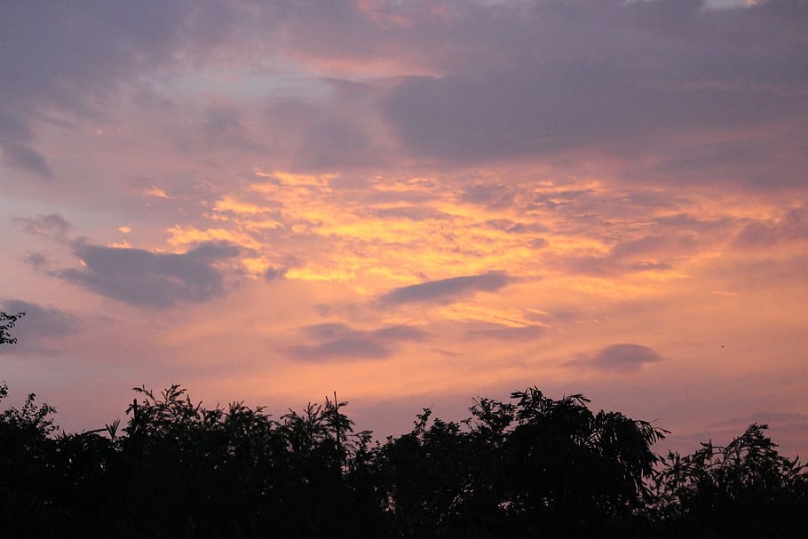 cloud, sunrise, sky, cloud - sky, tree, sunset, beauty in nature HD wallpaper