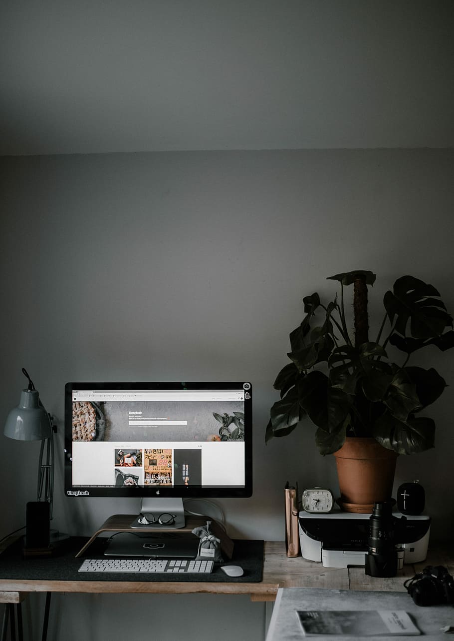 Desktop setup, turned on computer monitor, plant, planter, pot HD wallpaper