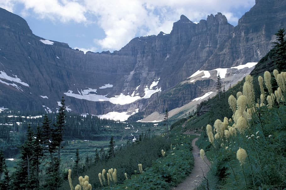 mountains, bear grass, glacier, national, park, landscape, scenic, HD wallpaper