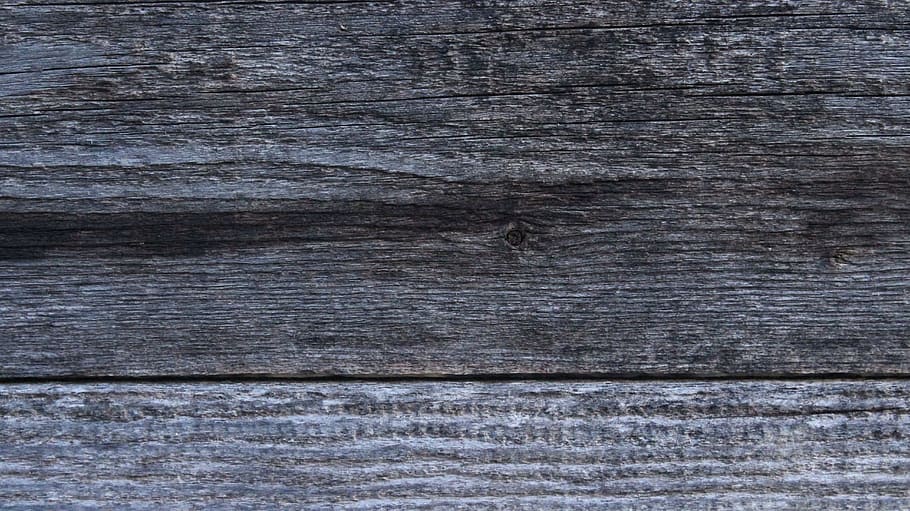 Wood, Texture, Tree, Plant, Nature, wood - Material, backgrounds HD wallpaper
