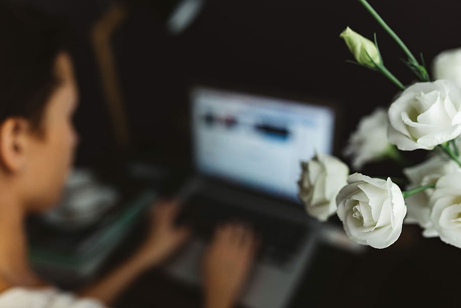 Woman working on laptop at home office, workspace, workplace HD wallpaper