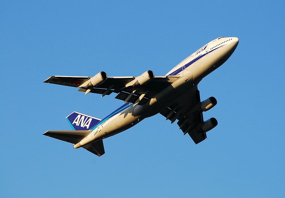 brown Ana airplane on air, boeing 747, all nippon airways, aircraft, HD wallpaper