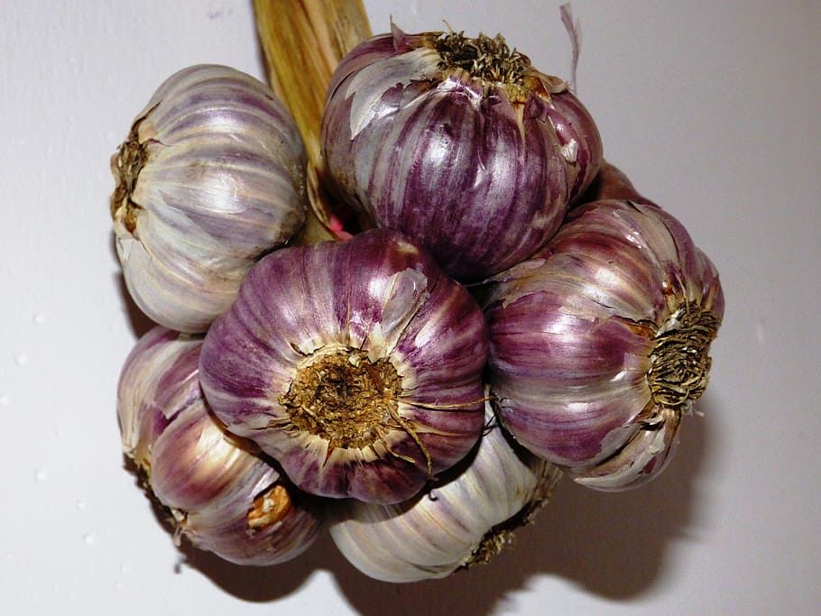 garlic, kitchen, spice, a vegetable, główkowaty, garlic główkowaty HD wallpaper
