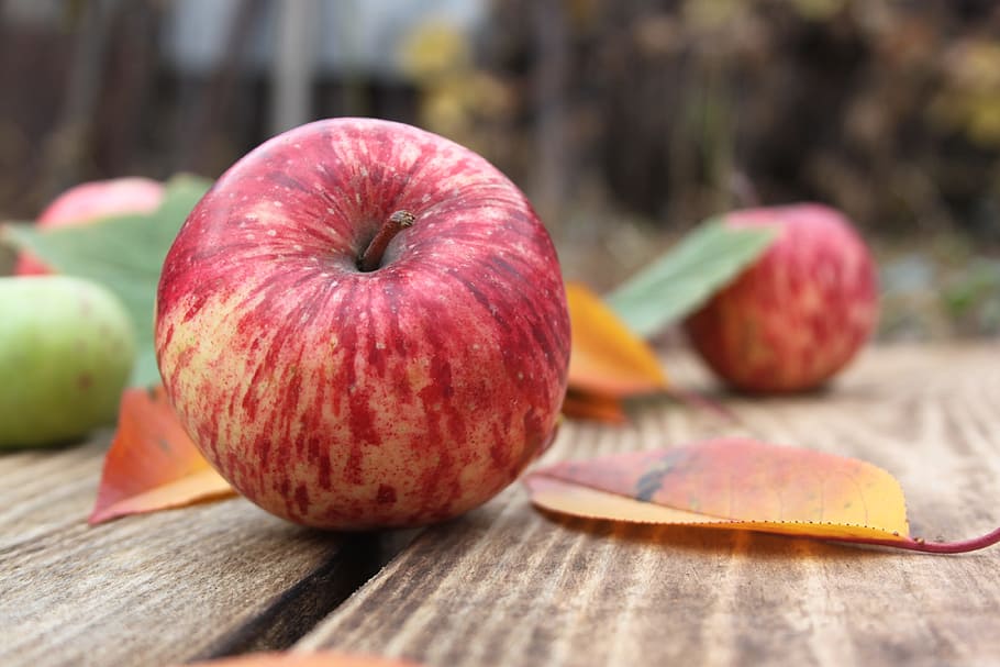 apples, fruit, red apple, green apples, healthy eating, food and drink HD wallpaper