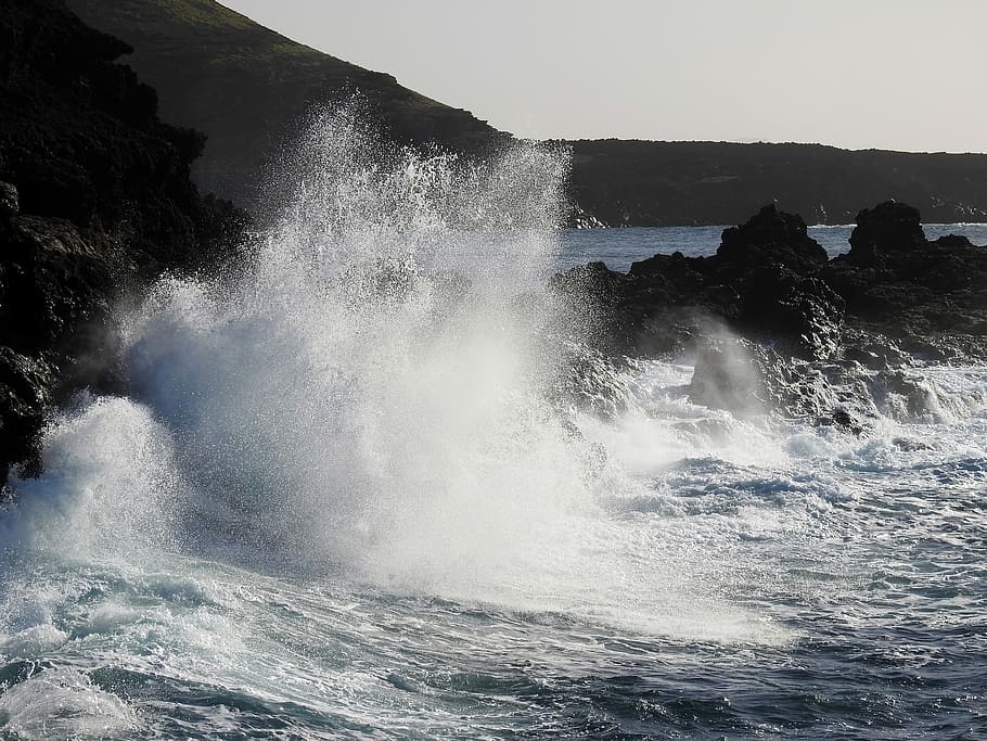 Wave, Sea, Surf, Foam, Back Light, Spray, motion, power in nature HD wallpaper