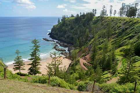 view, scenery, coast, landscape, scenic, ocean, norfolk island HD wallpaper