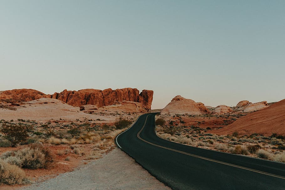 landscape photography of empty road, black road between cactus HD wallpaper