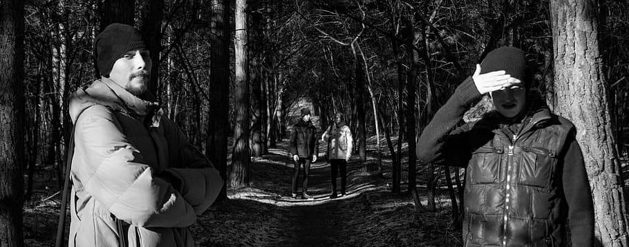 people, light, shadow, autumn, coldly, jacket, tree, tree trunk HD wallpaper