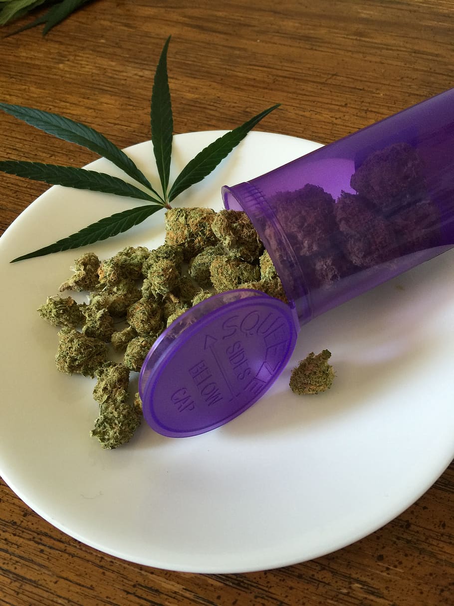 green kusk served in white plate, cannabis, marijuana, weed, drug