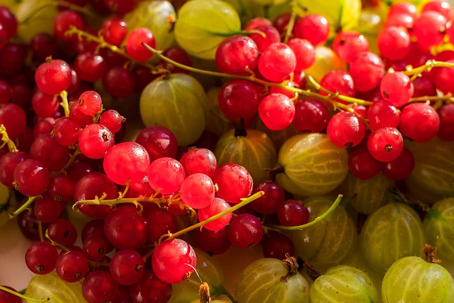 pile of grapes, Fruit, Berries, Vitamins, fruits, gooseberries, HD wallpaper