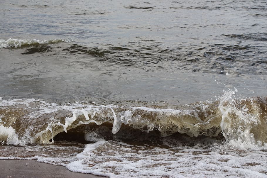 beach, wave, water, sea, foam, white, summer, coast, beach water HD wallpaper