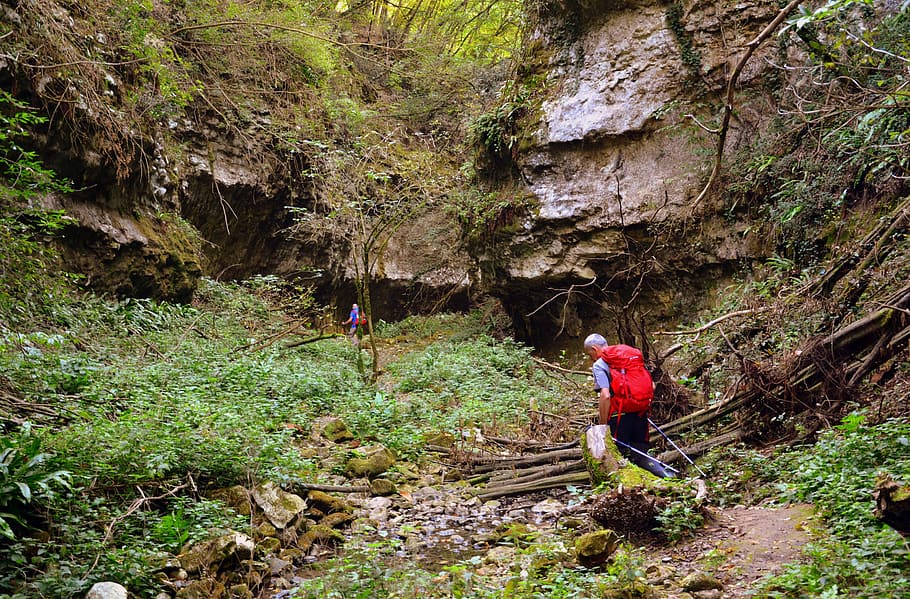 excursion, forest, val borago, valle, trail, e5, european, lessinia HD wallpaper